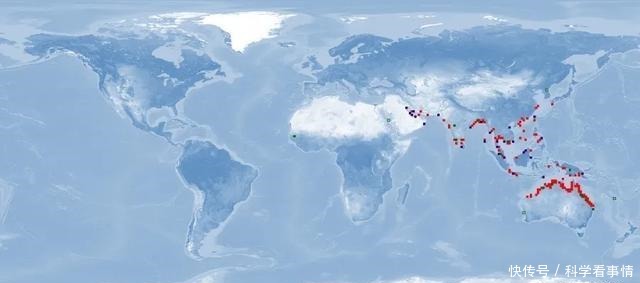 在中国“排名第一”的午鱼,是什么鱼