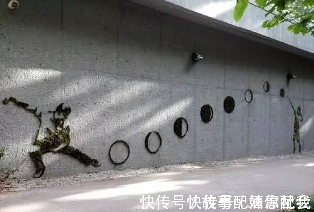 啤酒！他用酸奶、啤酒、苔藓把动物养在墙上，14天后的画面让人惊讶