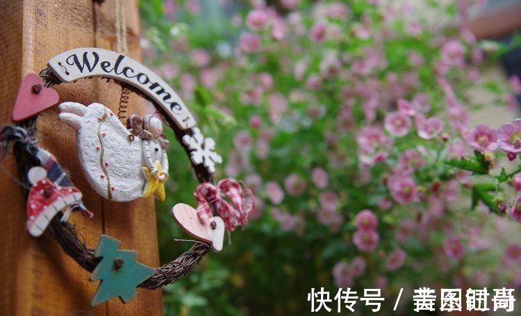 花园|荒废多年的80㎡小院,2年半时间打造成下沉式花园,太漂亮了!