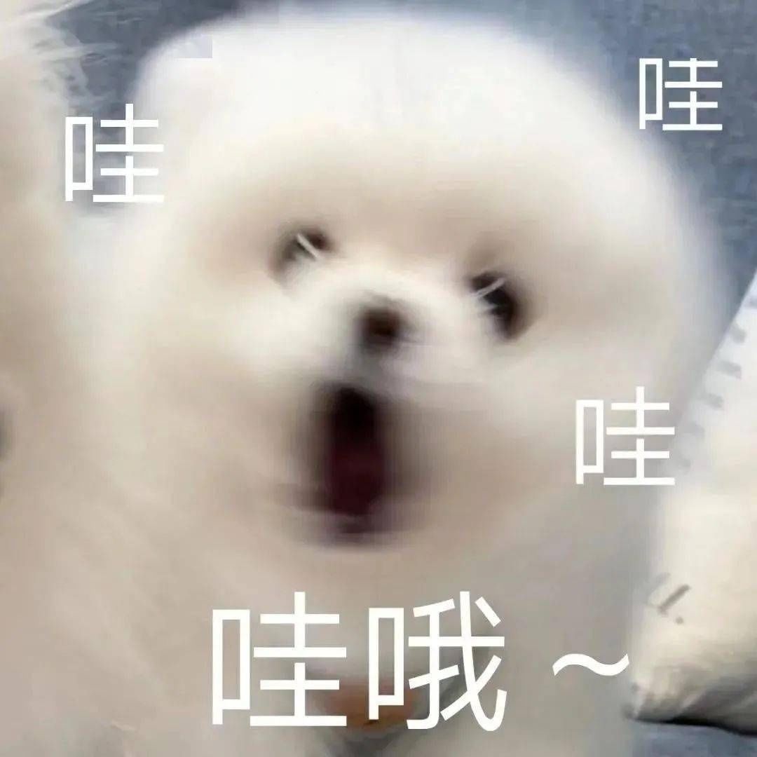 词条|幸运来了千万不要嘚瑟，不然洗出七绝不修也不会让人快乐…