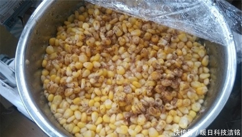 夏季|夏季手竿钓鲤鱼的“5大招式”,外行看热闹,内行人才懂这些门道