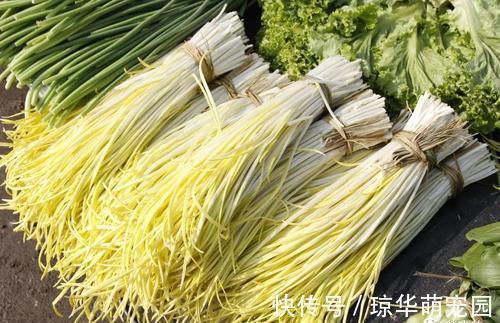 长得像蒜黄,市场十分火爆,一斤能卖20元,菜农:种起来很麻烦