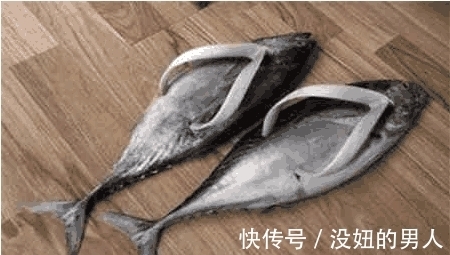 樱桃","m":"5e9af1581622c993b7fba961142f28ec1bfc93ea","nlabel":"stat_3100652944:zm.news.so.com:5pe25bCa5bCP5LuO6Zyc,pageType_zmt,glevel_3","ntag":"tfashion;sfashion_时尚;kfashion_1:高跟鞋;cfood_S:5:8677:一起吃:柿子;cfood_