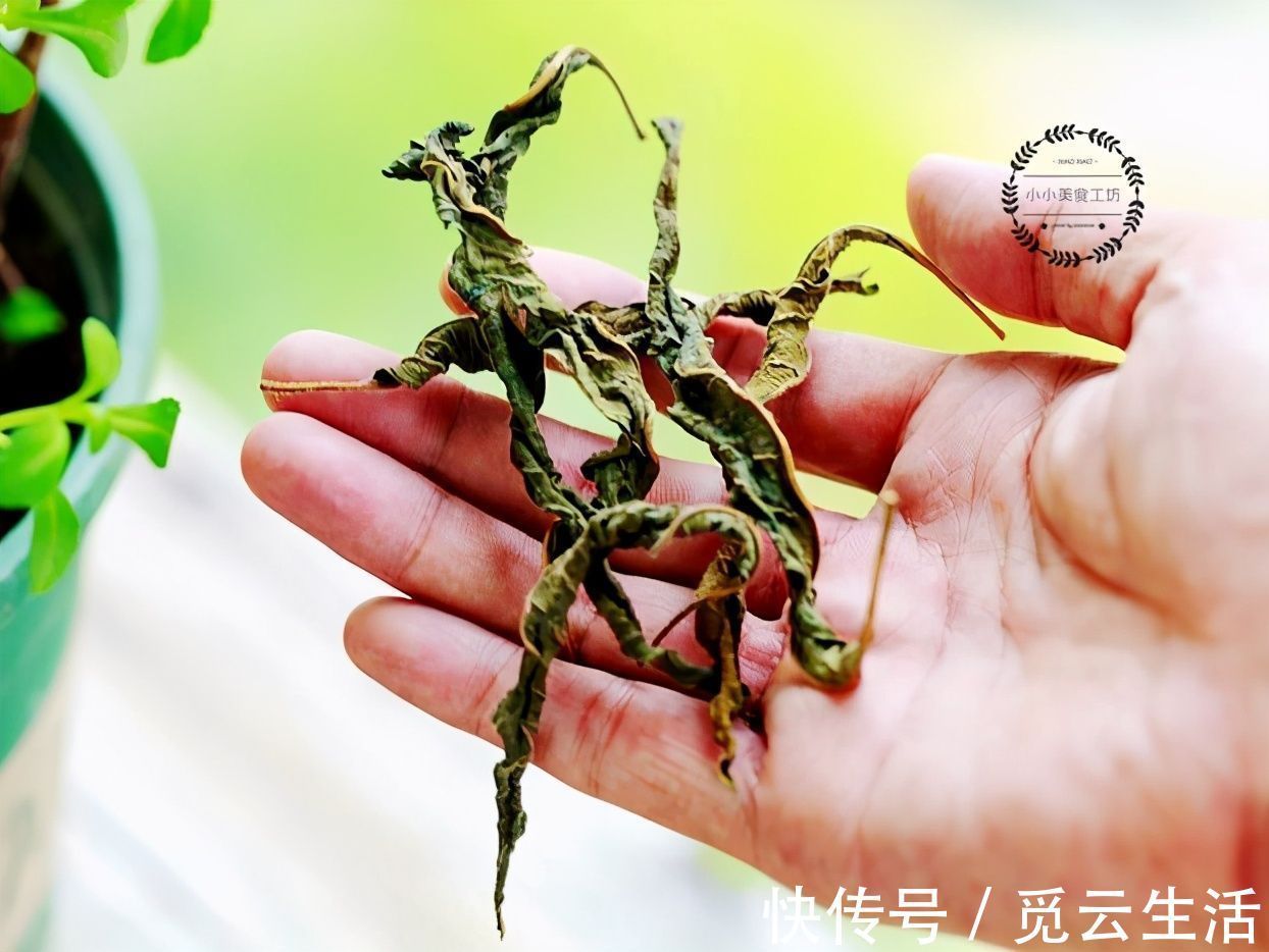 这菜，很多人只吃果实，其实叶子才是宝贝，如今有钱也难买到