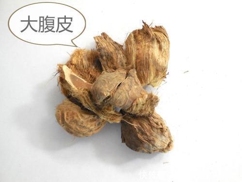 小肠|中医入门8种祛湿利水中药,除湿气,消水肿的好手,一次讲清楚