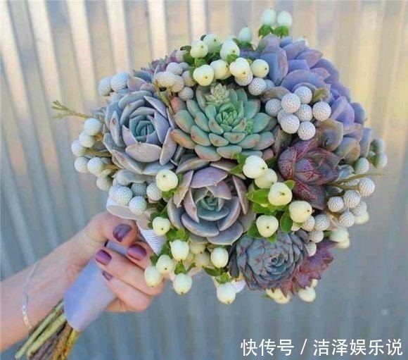 手捧花|学会3招,多肉养成“手捧花”,七夕情人节,最漂亮的礼物!