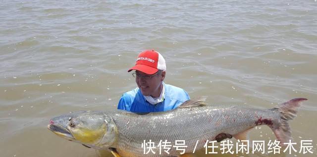 江苏小伙阳澄湖钓起40斤水老虎，拖到工地加餐，不放生为湖除害