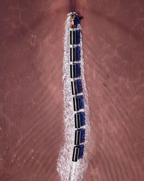 网友|火车驶入粉色盐湖，俄版《千与千寻》如此唯美