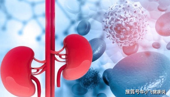 蛋白尿|肾病好转有3个标准，若全都符合，说明尿毒症不会缠上你