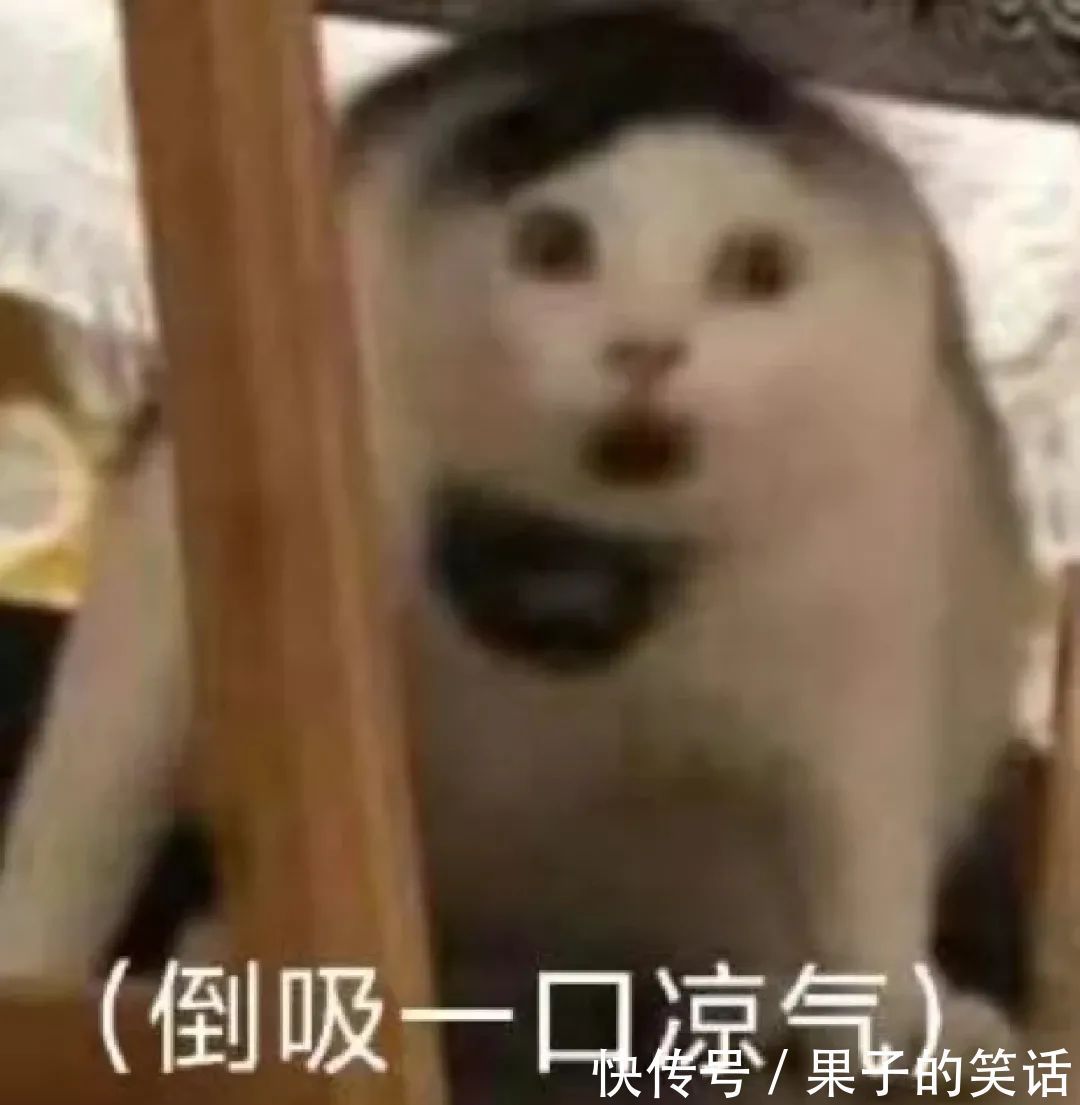 |笑岔气的十条幽默段子!滑稽又精辟,幽默感爆棚!