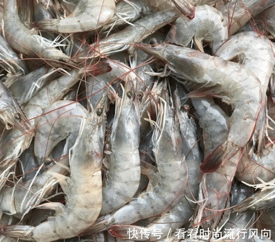 买虾时,遇到这3种,白送也别买,没营养!为了健康,不能贪便宜