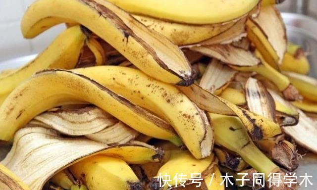 养花|香蕉皮养花，该怎么挖掘其肥力？有3种方法，第3种最得人心