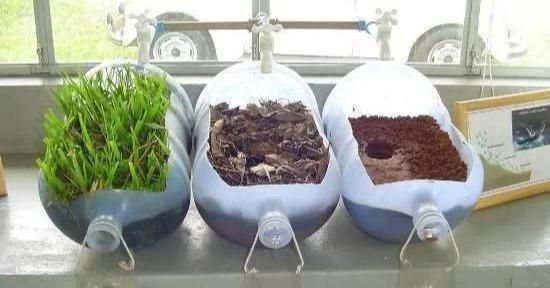 植物|没地种花种菜,没时间浇水几个塑料瓶就能解决,DIY变废为宝
