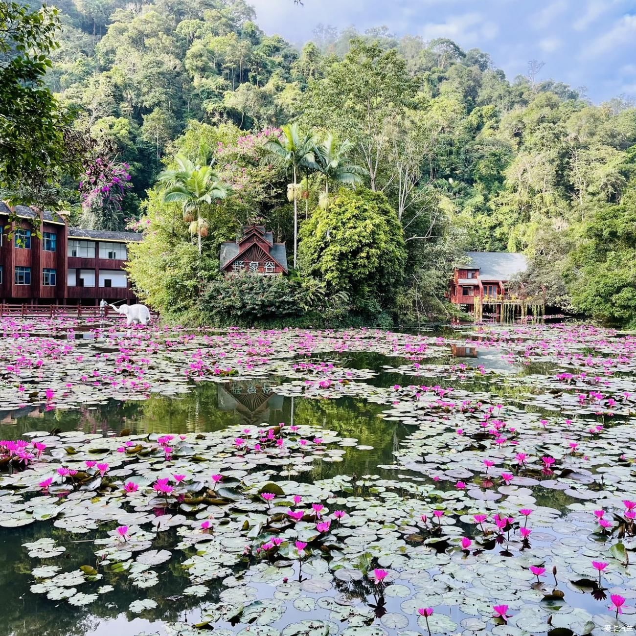 西双版纳之旅，享受不一样的傣族风情。