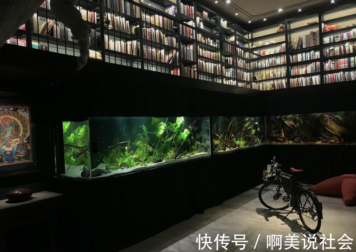 警察|“鬼才之眼”王昱珩一戰成名三戰封神,助警察成功破案,如今咋樣