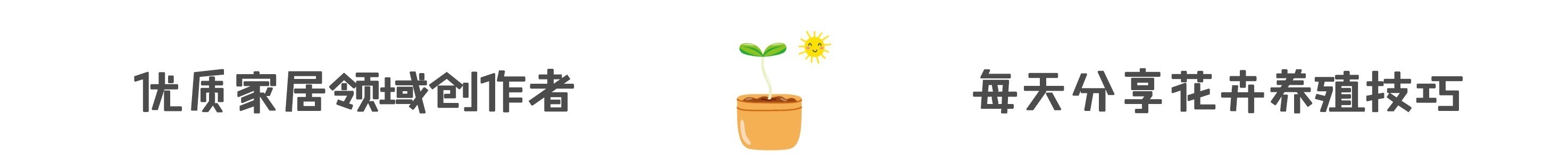 土壤肥力|家养君子兰,这一种“好物”不要扔,埋在土壤里,花芽呼呼冒