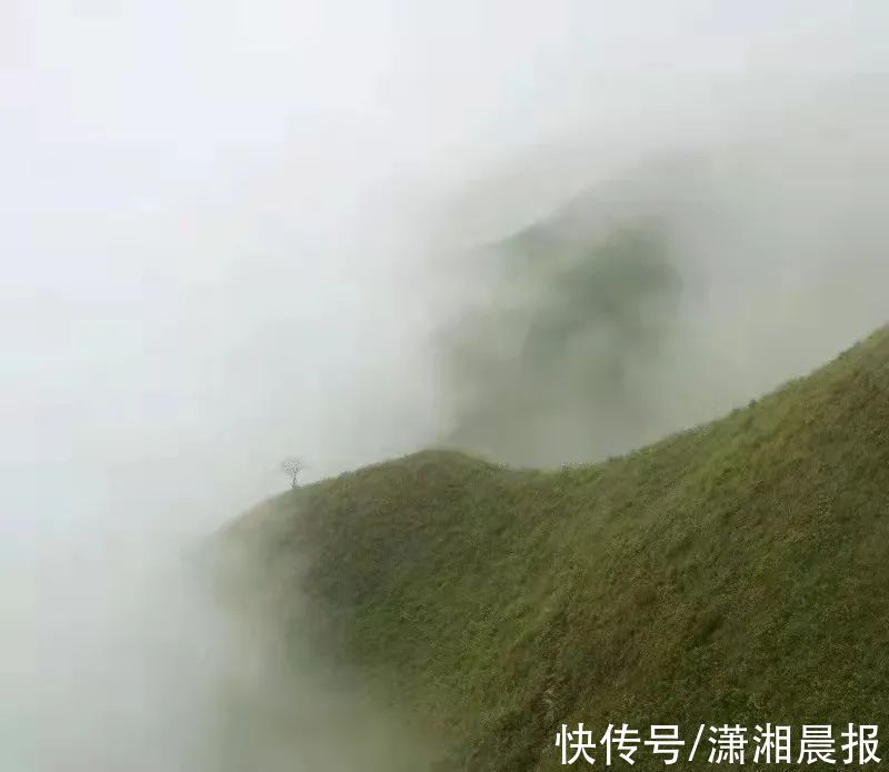 秋天|湖南这座“武功山”，有着最美的秋天草甸