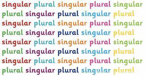 德语语法精讲:1.5 只用单数或复数的名词