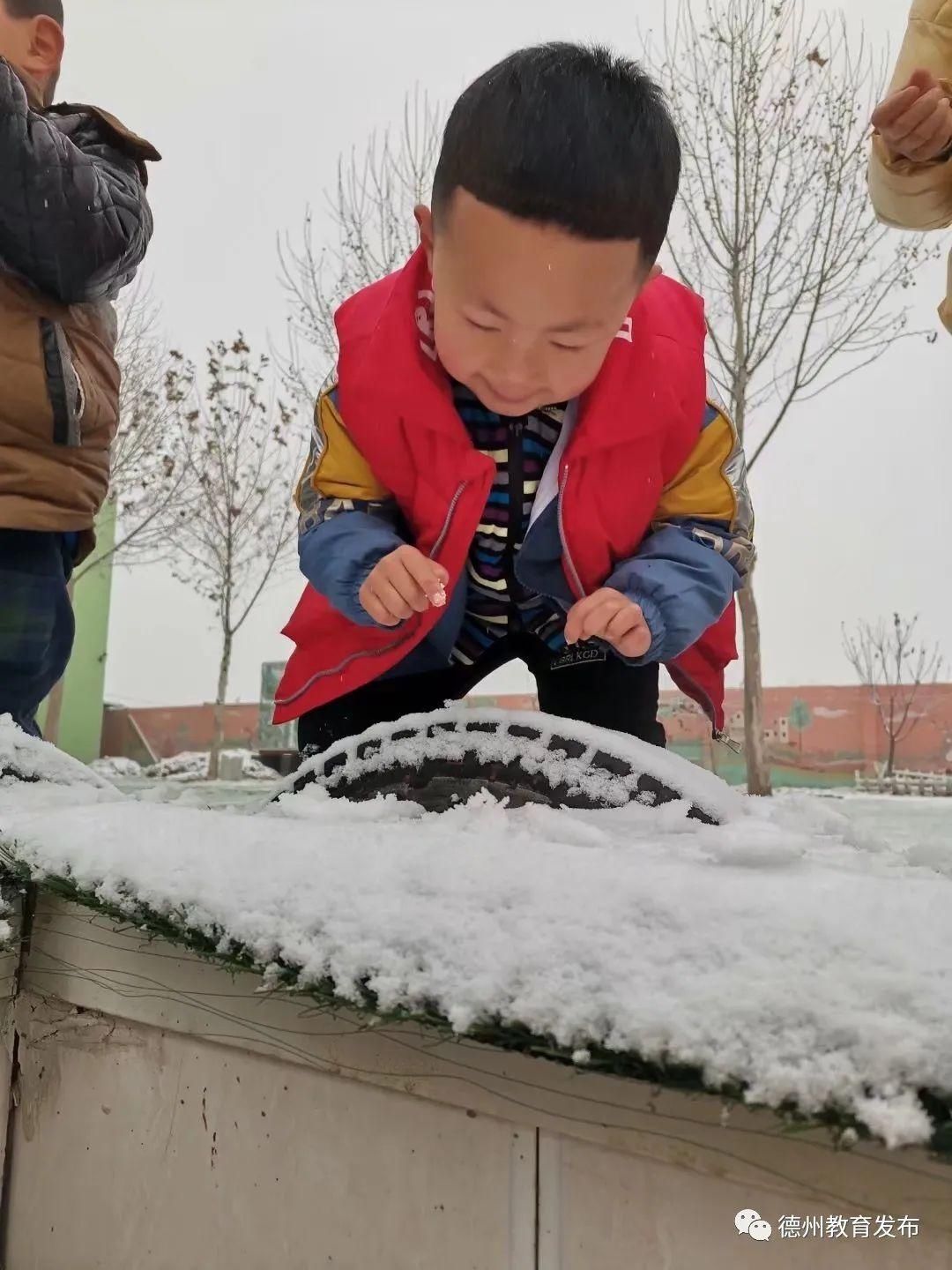 雪后校园别样娇