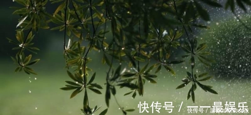 小雨|杨万里的这首《小雨》，也是一首千古名篇，整首诗充满了诗情画意