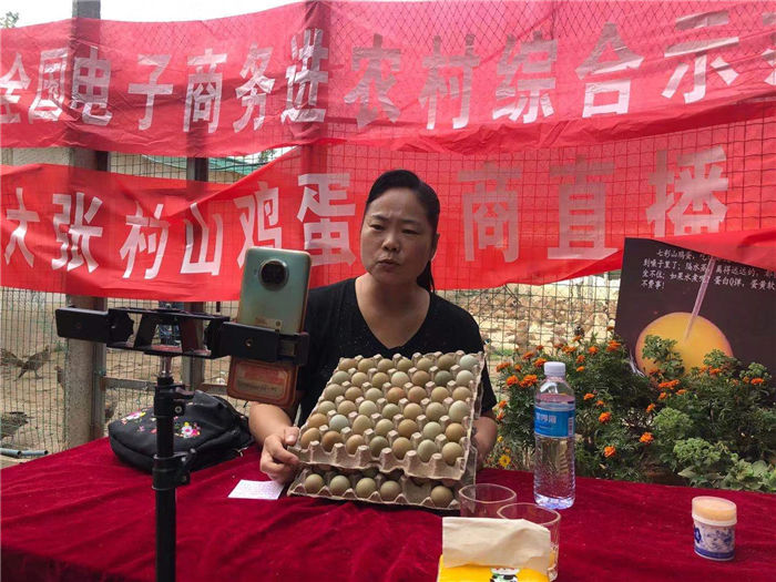 山鸡蛋|商河玉皇庙：小小山鸡蛋搭乘上“电商号”