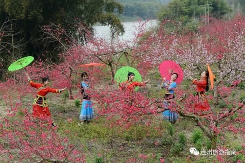 中年|桃花正当时，带着你的“李焕英”来连州赏花吧！