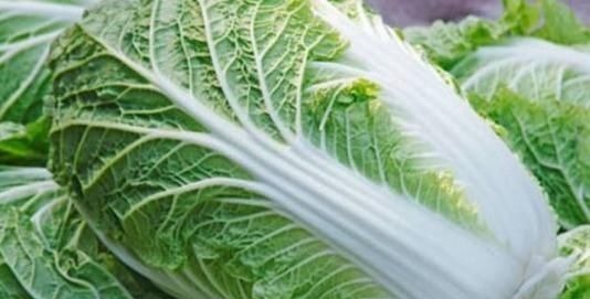 伤身|白菜和此物同食,不但没营养还伤身,很多不清楚,看完告诉身边人