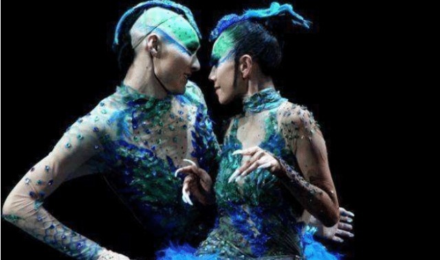 杨萍&杨丽萍为舞台效果有多拼?衣服是画上去的,网友:为艺术牺牲太多