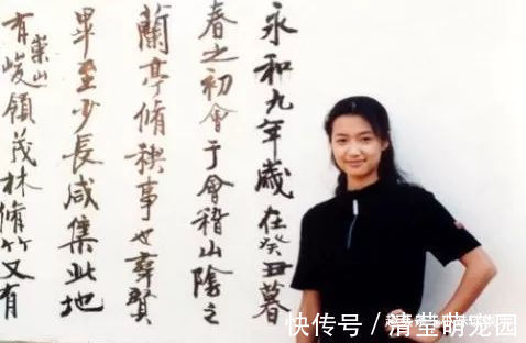 书法&看完董卿书法,再看徐静蕾书法,谁更胜一筹