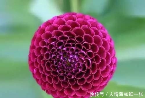 神“造”般的植物奇景,仿佛画作精品,小编已深深着迷!