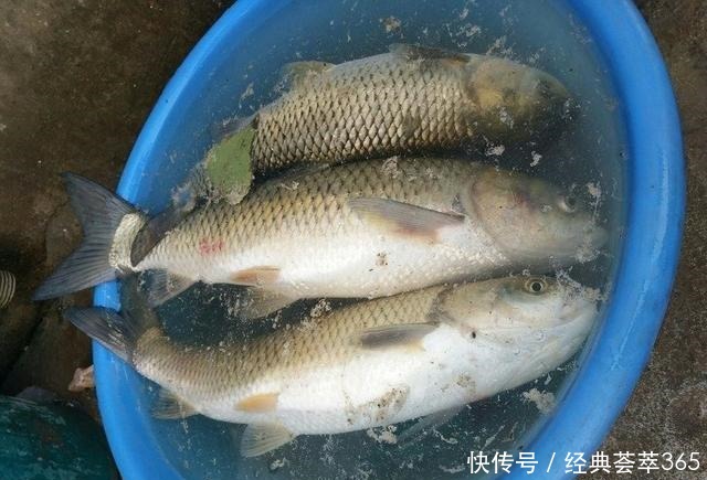 钓鱼人年终小结钓鱼一年得花多少钱，开支最大的竟不是买鱼竿