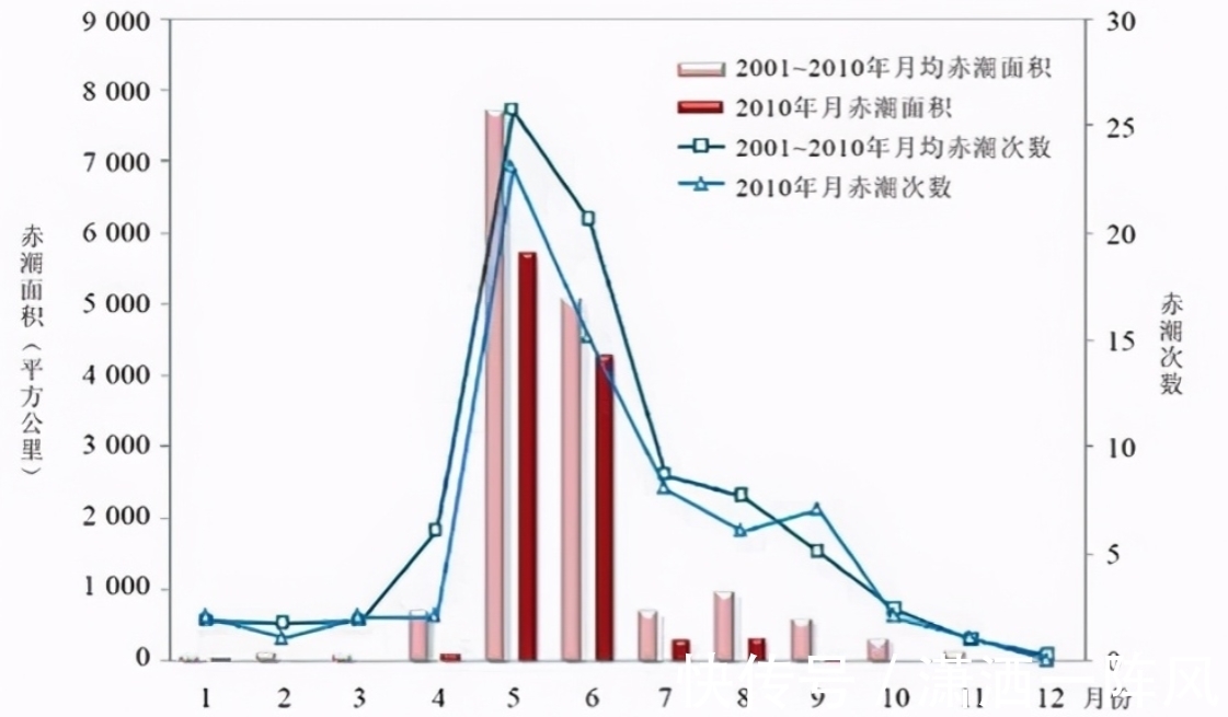 剧毒|比眼镜蛇毒强80倍的剧毒，为何出现在吃了几十年的海鲜里？