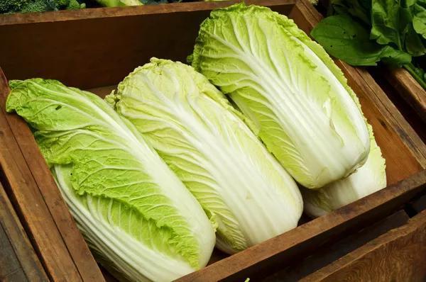 白菜搭一宝,养胃益气血、滋补不上火!鲜掉眉毛,全家都爱