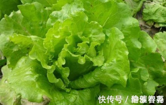 滋补|人到中年想长寿,要坚持吃3种食物,美容养颜、滋补身体!