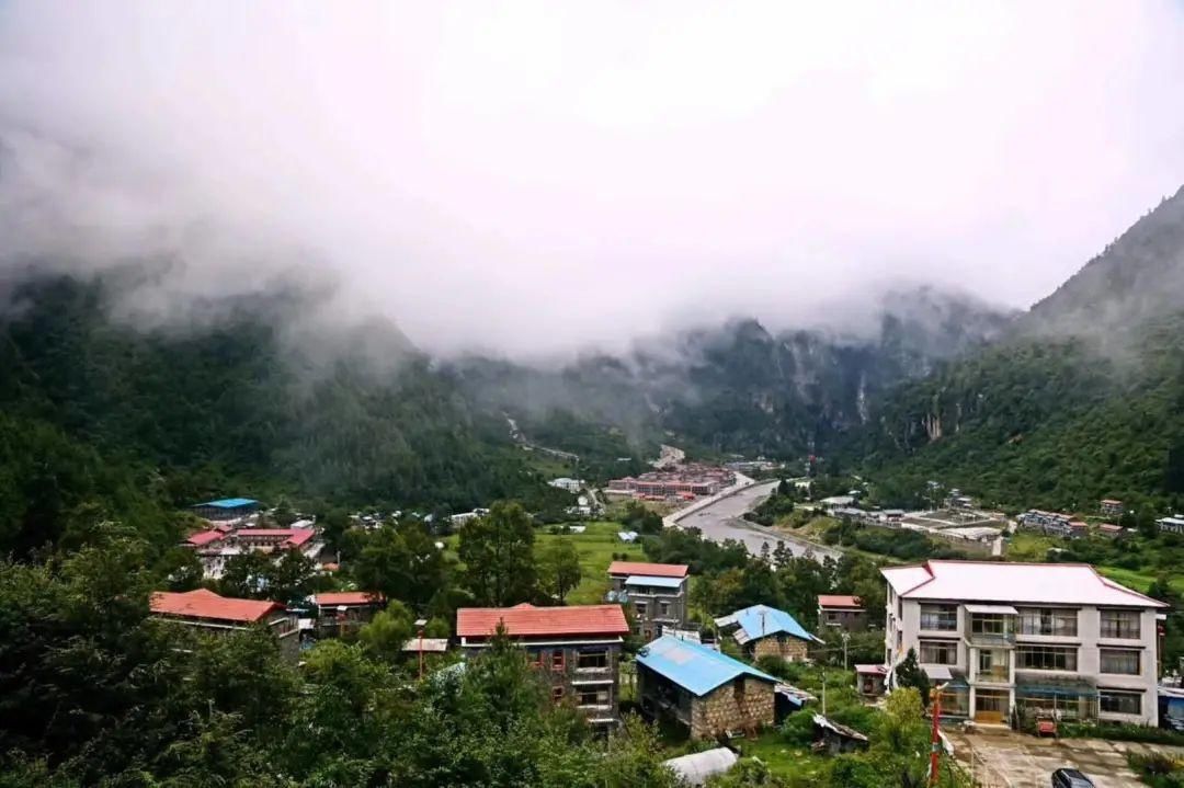 错那县|再见山南杜鹃花丨一生必去的绝美秘境!