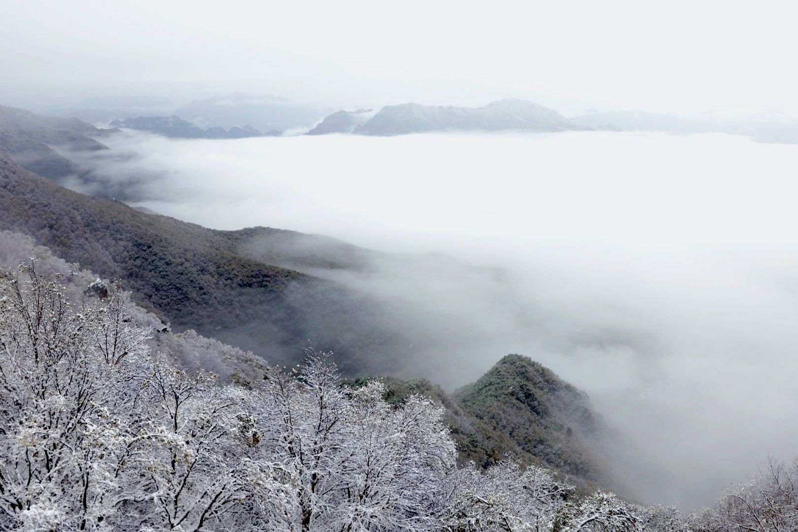 百花山|雪景与云海“同框”！今天的百花山美如仙境