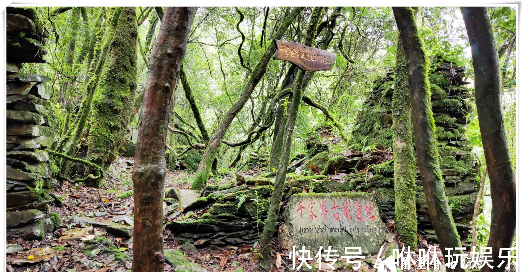 原始森林|自驾云南新平哀牢山，在雨中走茶马古道、体会马帮伙计的辛酸苦辣