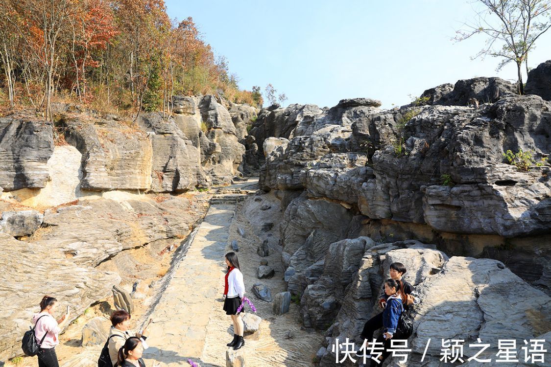 宁波市|塔川秋色、宏村古村，全国闻名，每年秋冬之际，游人蜂拥而至