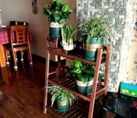 养花占地方？阳台支个架，再养10盆也不挤！