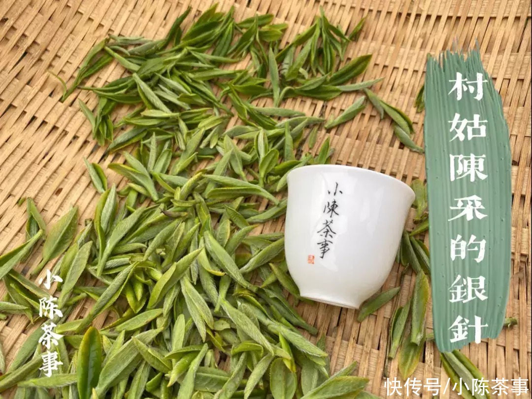 散茶|散茶和白茶饼哪个更值得收藏？听说压饼后不利于转化，是真的吗？