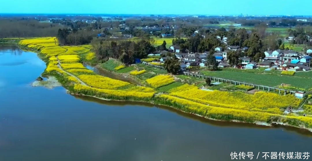 离成都不远，油菜花开满河两岸，千岛花海！