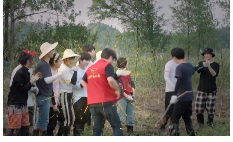 何炅老师|希希好可怜！仓库易主，张艺兴彭昱畅开车拉东西，他敢怒不敢言