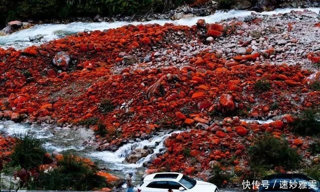 川西3日游｜赏雪山花海、瞰红石奇观、泡天然温泉…一路风光美绝