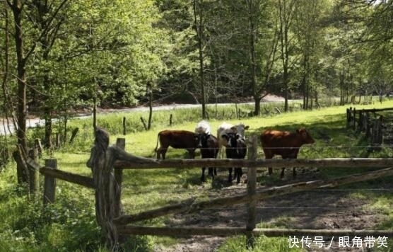  高手|把女孩藏于画中，找出三个算高手，只有眼力好的才能找齐