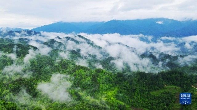 石阡县|六中全会精神在基层｜保护与发展实现共赢——贵州佛顶山探访记