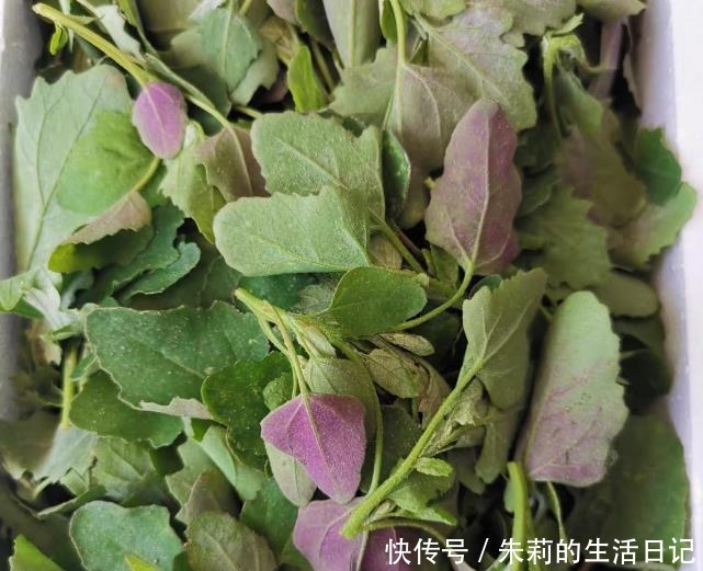  个头|它是菜又是药，路边“补钙库”，钙是鸡肉的7倍，补钙质，长个头