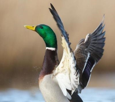 20条有趣的冷知识,你知道多少