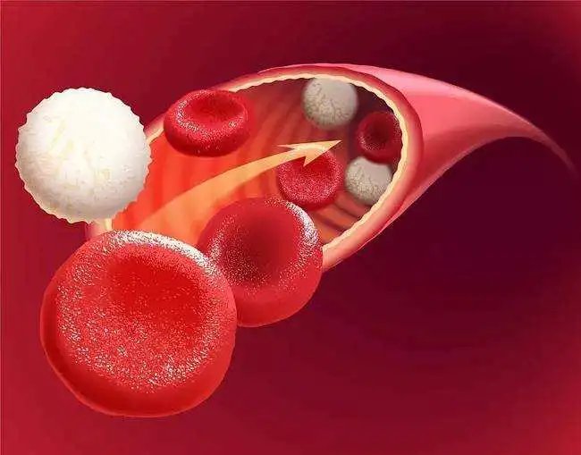 人类|两个月治好癌症，120万的CAR-T会成为人类终结癌症的绝招么？