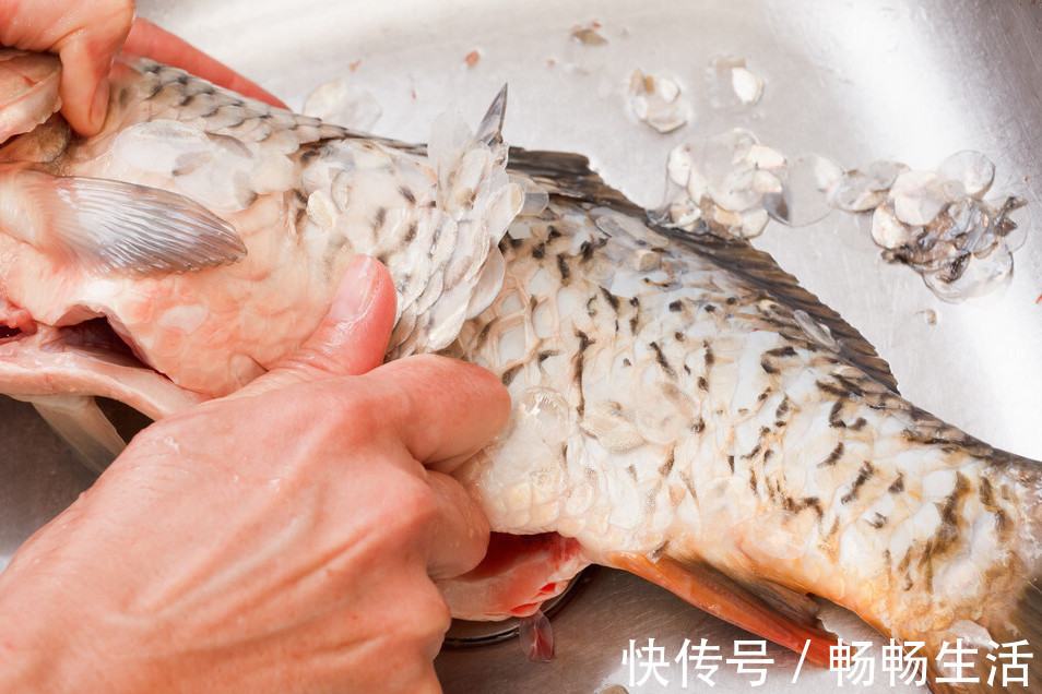 鱼肉|炖鱼,不要只会加料酒,多放这2样,鱼肉鲜嫩不柴,去腥效果好