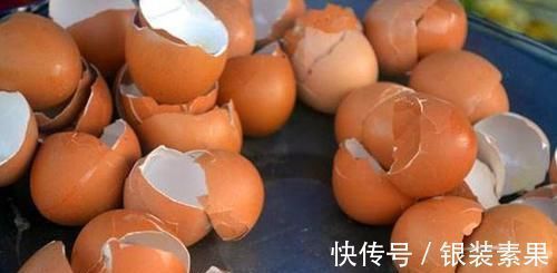 养花|用鸡蛋壳养花,少了这2步就得招虫子,养啥啥不行